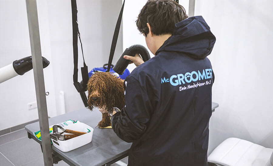 mcgroomer-hundefriseure-berlin-galerie-3.jpg__PID:7183114f-5925-44f1-90e4-095d8daecb3b
